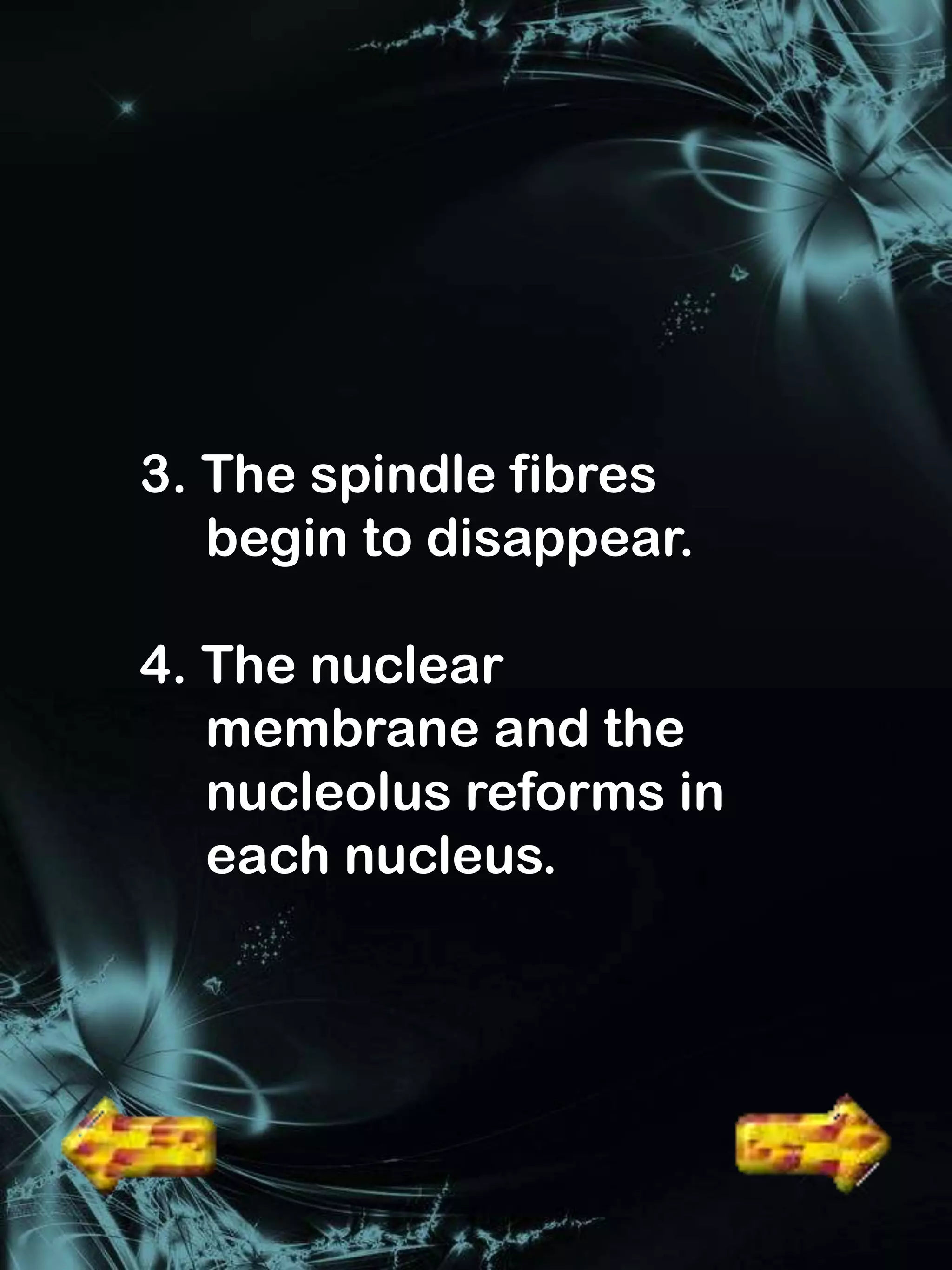 3. The spindle fibres
   begin to disappear.

4. The nuclear
   membrane and the
   nucleolus reforms in
   each nucleus.
 