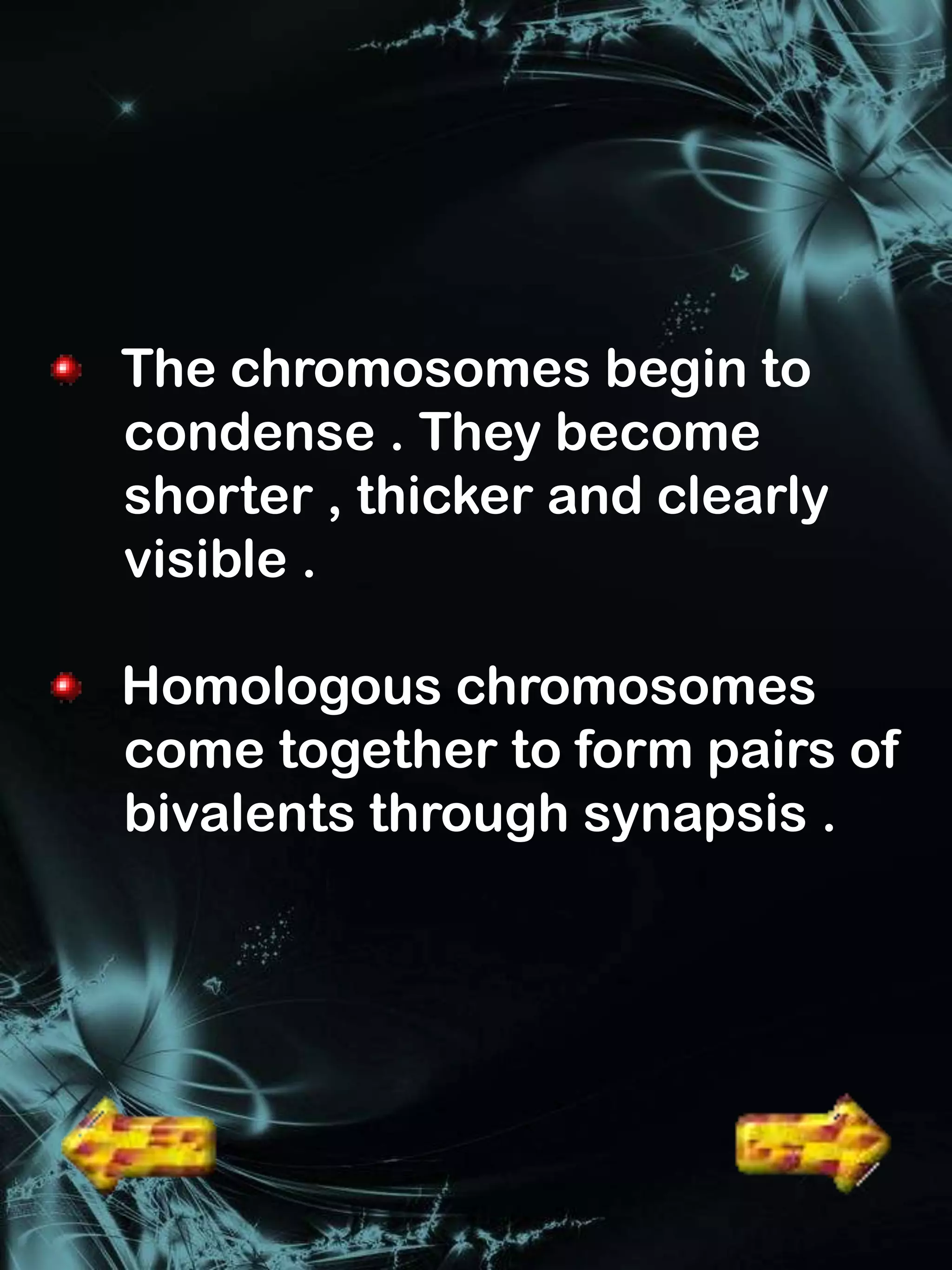 The chromosomes begin to
condense . They become
shorter , thicker and clearly
visible .

Homologous chromosomes
come together to form pairs of
bivalents through synapsis .
 