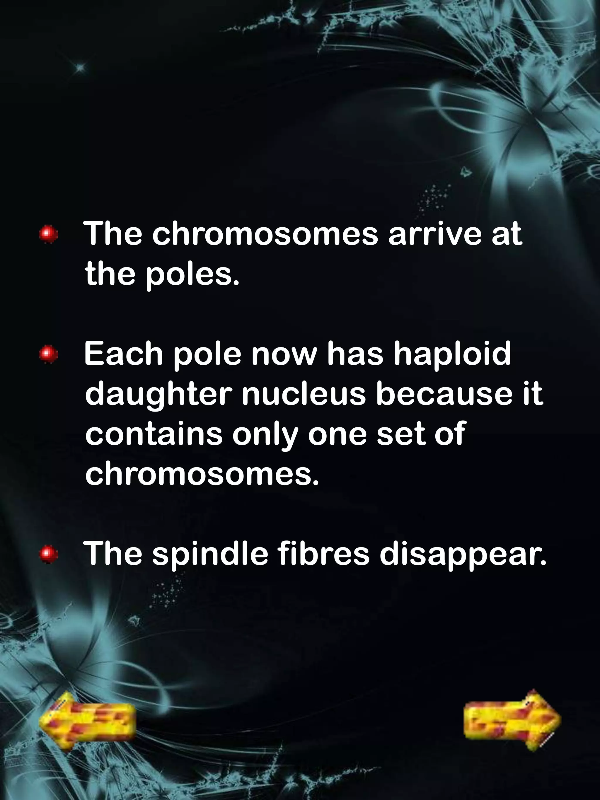 The chromosomes arrive at
the poles.

Each pole now has haploid
daughter nucleus because it
contains only one set of
chromosomes.

The spindle fibres disappear.
 