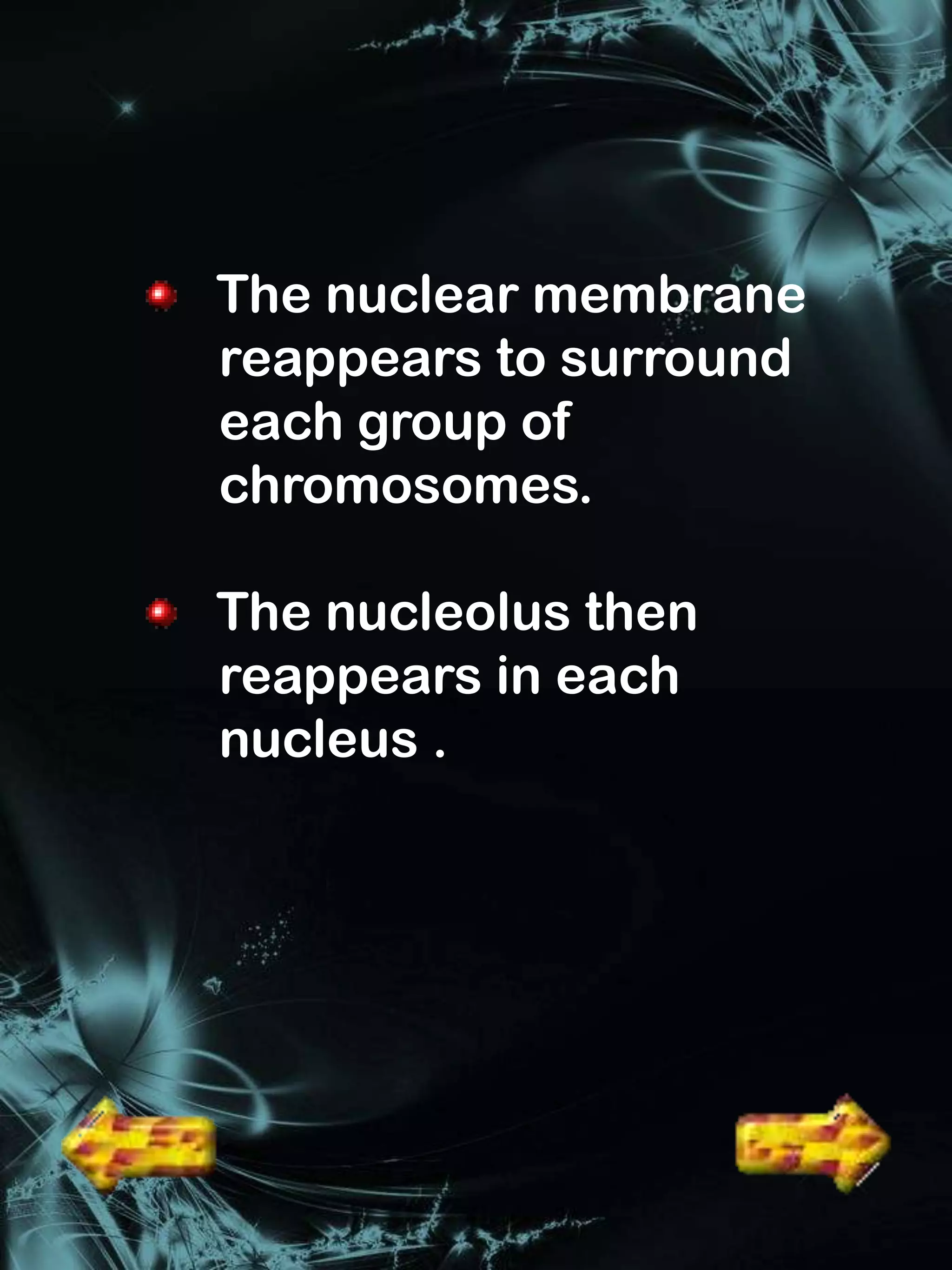 The nuclear membrane
reappears to surround
each group of
chromosomes.

The nucleolus then
reappears in each
nucleus .
 