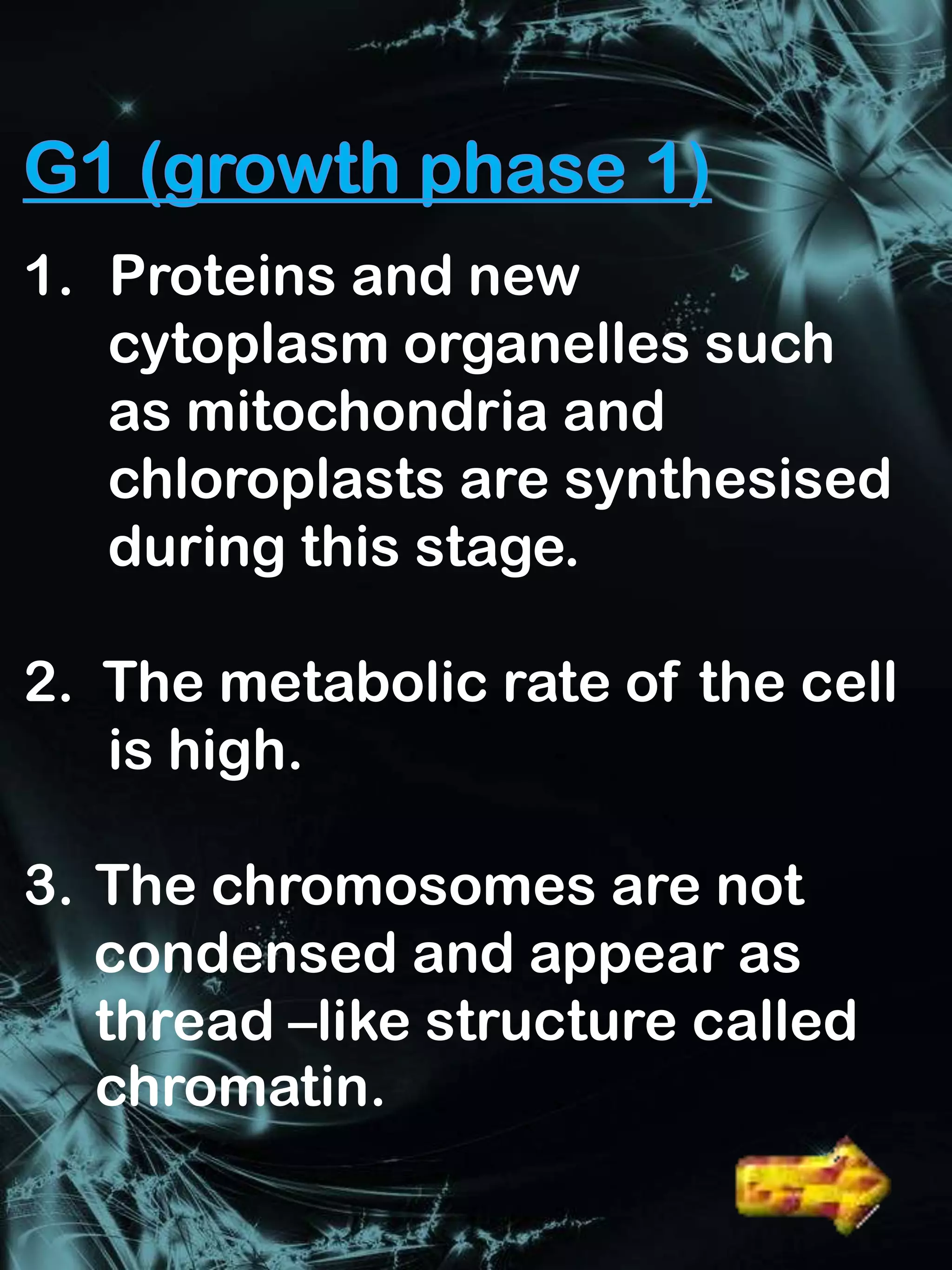 1. Proteins and new
   cytoplasm organelles such
   as mitochondria and
   chloroplasts are synthesised
   during this stage.

2. The metabolic rate of the cell
   is high.

3. The chromosomes are not
   condensed and appear as
   thread –like structure called
   chromatin.
                       Interphase
 