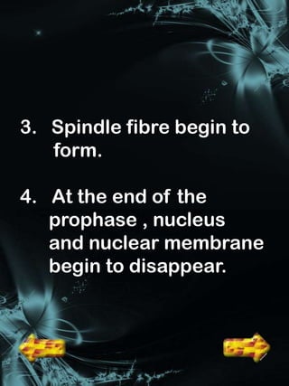 3. Spindle fibre begin to
   form.

4. At the end of the
   prophase , nucleus
   and nuclear membrane
   begin to disappear.
 