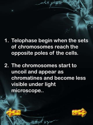 1. Telophase begin when the sets
   of chromosomes reach the
   opposite poles of the cells.

2. The chromosomes start to
   uncoil and appear as
   chromatines and become less
   visible under light
   microscope..
 