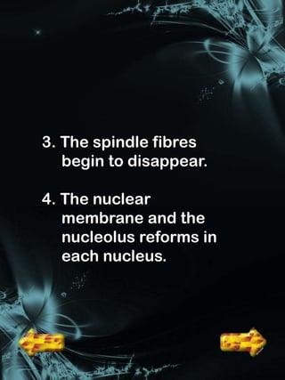 3. The spindle fibres
   begin to disappear.

4. The nuclear
   membrane and the
   nucleolus reforms in
   each nucleus.
 