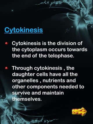 Cytokinesis is the division of
the cytoplasm occurs towards
the end of the telophase.

Through cytokinesis , the
daughter cells have all the
organelles , nutrients and
other components needed to
survive and maintain
themselves.
 