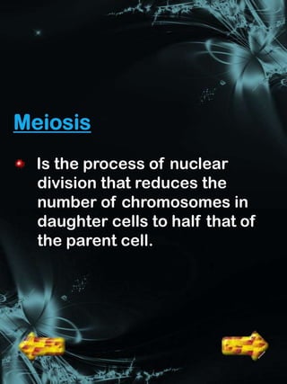 Is the process of nuclear
division that reduces the
number of chromosomes in
daughter cells to half that of
the parent cell.
 