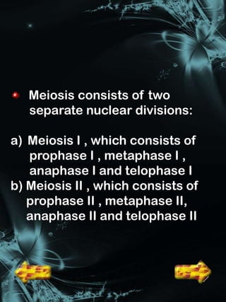 Meiosis consists of two
   separate nuclear divisions:

a) Meiosis I , which consists of
   prophase I , metaphase I ,
   anaphase I and telophase I
b) Meiosis II , which consists of
   prophase II , metaphase II,
   anaphase II and telophase II
 