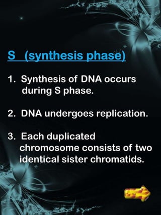 1. Synthesis of DNA occurs
   during S phase.

2. DNA undergoes replication.

3. Each duplicated
   chromosome consists of two
   identical sister chromatids.


                     Interphase
 