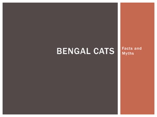 Facts and
MythsBENGAL CATS
 