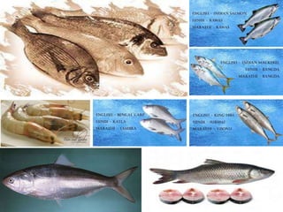 NSK NOTES kumars recipe file 26
 