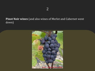 2Pinot Noirwines (and also wines of Merlot and Cabernet went down)