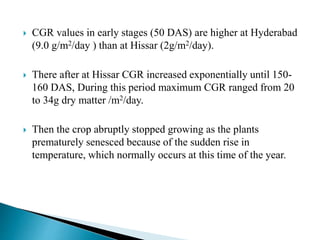  CGR values in early stages (50 DAS) are higher at Hyderabad
(9.0 g/m2/day ) than at Hissar (2g/m2/day).
 There after at Hissar CGR increased exponentially until 150-
160 DAS, During this period maximum CGR ranged from 20
to 34g dry matter /m2/day.
 Then the crop abruptly stopped growing as the plants
prematurely senesced because of the sudden rise in
temperature, which normally occurs at this time of the year.
 