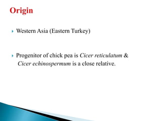  Western Asia (Eastern Turkey)
 Progenitor of chick pea is Cicer reticulatum &
Cicer echinospermum is a close relative.
 