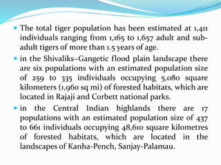  The total tiger population has been estimated at 1,411 
individuals ranging from 1,165 to 1,657 adult and sub-adult 
tigers of more than 1.5 years of age. 
 in the Shivaliks–Gangetic flood plain landscape there 
are six populations with an estimated population size 
of 259 to 335 individuals occupying 5,080 square 
kilometers (1,960 sq mi) of forested habitats, which are 
located in Rajaji and Corbett national parks. 
 in the Central Indian highlands there are 17 
populations with an estimated population size of 437 
to 661 individuals occupying 48,610 square kilometres 
of forested habitats, which are located in the 
landscapes of Kanha-Pench, Sanjay-Palamau. 
 