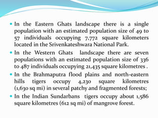  In the Eastern Ghats landscape there is a single 
population with an estimated population size of 49 to 
57 individuals occupying 7,772 square kilometers 
located in the Srivenkateshwara National Park. 
 In the Western Ghats landscape there are seven 
populations with an estimated population size of 336 
to 487 individuals occupying 21,435 square kilometres . 
 In the Brahmaputra flood plains and north-eastern 
hills tigers occupy 4,230 square kilometres 
(1,630 sq mi) in several patchy and fragmented forests; 
 In the Indian Sundarbans tigers occupy about 1,586 
square kilometres (612 sq mi) of mangrove forest. 
 
