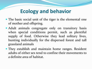 Ecology and behavior 
 The basic social unit of the tiger is the elemental one 
of mother and offspring. 
 Adult animals congregate only on transitory basis 
when special conditions permit, such as plentiful 
supply of food. Otherwise they lead solitary lives, 
hunting individually for the dispersed forest and tall 
grassland animals 
 They establish and maintain home ranges. Resident 
adults of either sex tend to confine theirmovements to 
a definite area of habitat. 
 