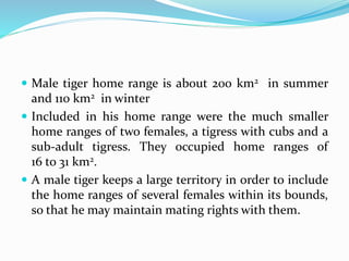  Male tiger home range is about 200 km2 in summer 
and 110 km2 in winter 
 Included in his home range were the much smaller 
home ranges of two females, a tigress with cubs and a 
sub-adult tigress. They occupied home ranges of 
16 to 31 km2. 
 A male tiger keeps a large territory in order to include 
the home ranges of several females within its bounds, 
so that he may maintain mating rights with them. 
 