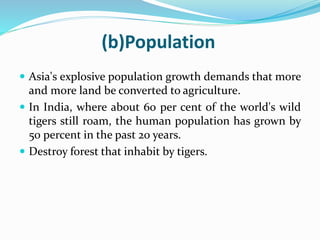 (b)Population 
 Asia's explosive population growth demands that more 
and more land be converted to agriculture. 
 In India, where about 60 per cent of the world's wild 
tigers still roam, the human population has grown by 
50 percent in the past 20 years. 
 Destroy forest that inhabit by tigers. 
 