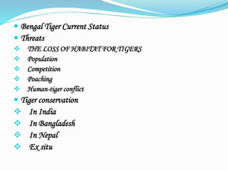  Bengal Tiger Current Status 
 Threats 
 THE LOSS OF HABITAT FOR TIGERS 
 Population 
 Competition 
 Poaching 
 Human-tiger conflict 
 Tiger conservation 
 In India 
 In Bangladesh 
 In Nepal 
 Ex situ 
 
