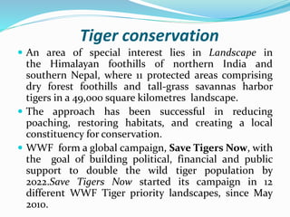 Tiger conservation 
 An area of special interest lies in Landscape in 
the Himalayan foothills of northern India and 
southern Nepal, where 11 protected areas comprising 
dry forest foothills and tall-grass savannas harbor 
tigers in a 49,000 square kilometres landscape. 
 The approach has been successful in reducing 
poaching, restoring habitats, and creating a local 
constituency for conservation. 
 WWF form a global campaign, Save Tigers Now, with 
the goal of building political, financial and public 
support to double the wild tiger population by 
2022.Save Tigers Now started its campaign in 12 
different WWF Tiger priority landscapes, since May 
2010. 
 