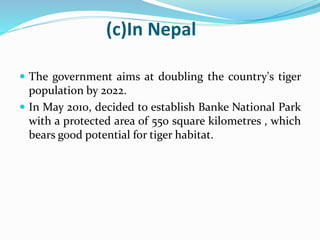 (c)In Nepal 
 The government aims at doubling the country's tiger 
population by 2022. 
 In May 2010, decided to establish Banke National Park 
with a protected area of 550 square kilometres , which 
bears good potential for tiger habitat. 
 