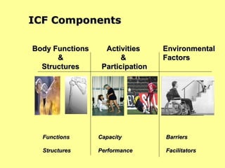 ICF Components Body Functions & Structures Activities  &  Participation Environmental Factors Barriers Facilitators Functions  Structures  Capacity Performance 
