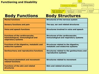 Body Functions  Body Structures Functioning and Disability ICF Functioning and Disability Contextual Factors Body Functions and Body Structures Activities and Participation Environmental  Factors Personal Factors Skin and related structures Functions of the skin and related structures Structures related to movement Neuromusculoskeletal and movement-related functions Structures related to the genitourinary and reproductive systems Genitourinary and reproductive functions Structures related to the digestive, metabolic and endocrine systems Functions of the digestive, metabolic and endocrine systems Structures of the cardiovascular, immunological and respiratory systems Functions of the cardiovascular, haematological, immunological and respiratory systems Structures involved in voice and speech Voice and speech functions The eye, ear and related structures Sensory functions and pain Structures of the nervous system Mental functions 
