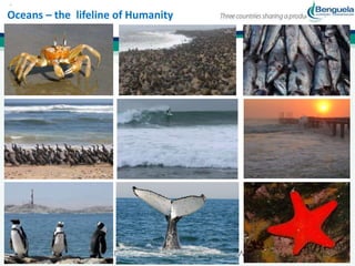 Oceans – the lifeline of Humanity 
 