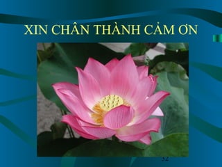 32
XIN CHÂN THÀNH CẢM ƠN
 