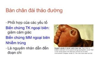 Bàn chân đái tháo đường
• Phối hợp của các yếu tố
Biến chứng TK ngoại biên:
giảm cảm giác
Biến chứng MM ngoại biên
Nhiễm trùng
• Là nguyên nhân dẫn đến
đoạn chi
 