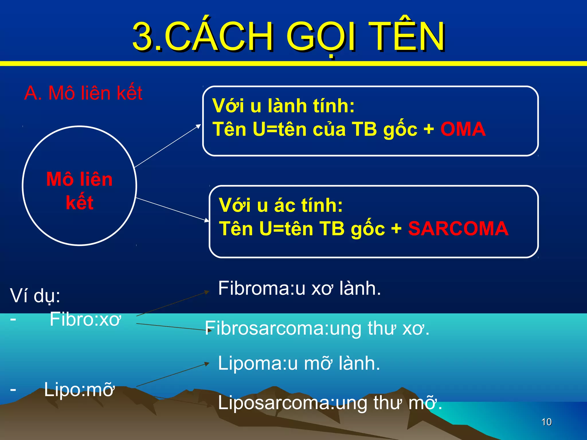 Mô liên
kết
A. Mô liên kết
Với u lành tính:
Tên U=tên của TB gốc + OMA
Với u ác tính:
Tên U=tên TB gốc + SARCOMA
Ví dụ:
- Fibro:xơ
- Lipo:mỡ
Lipoma:u mỡ lành.
Fibrosarcoma:ung thư xơ.
Fibroma:u xơ lành.
Liposarcoma:ung thư mỡ.
1010
3.CÁCH GỌI TÊN3.CÁCH GỌI TÊN
 