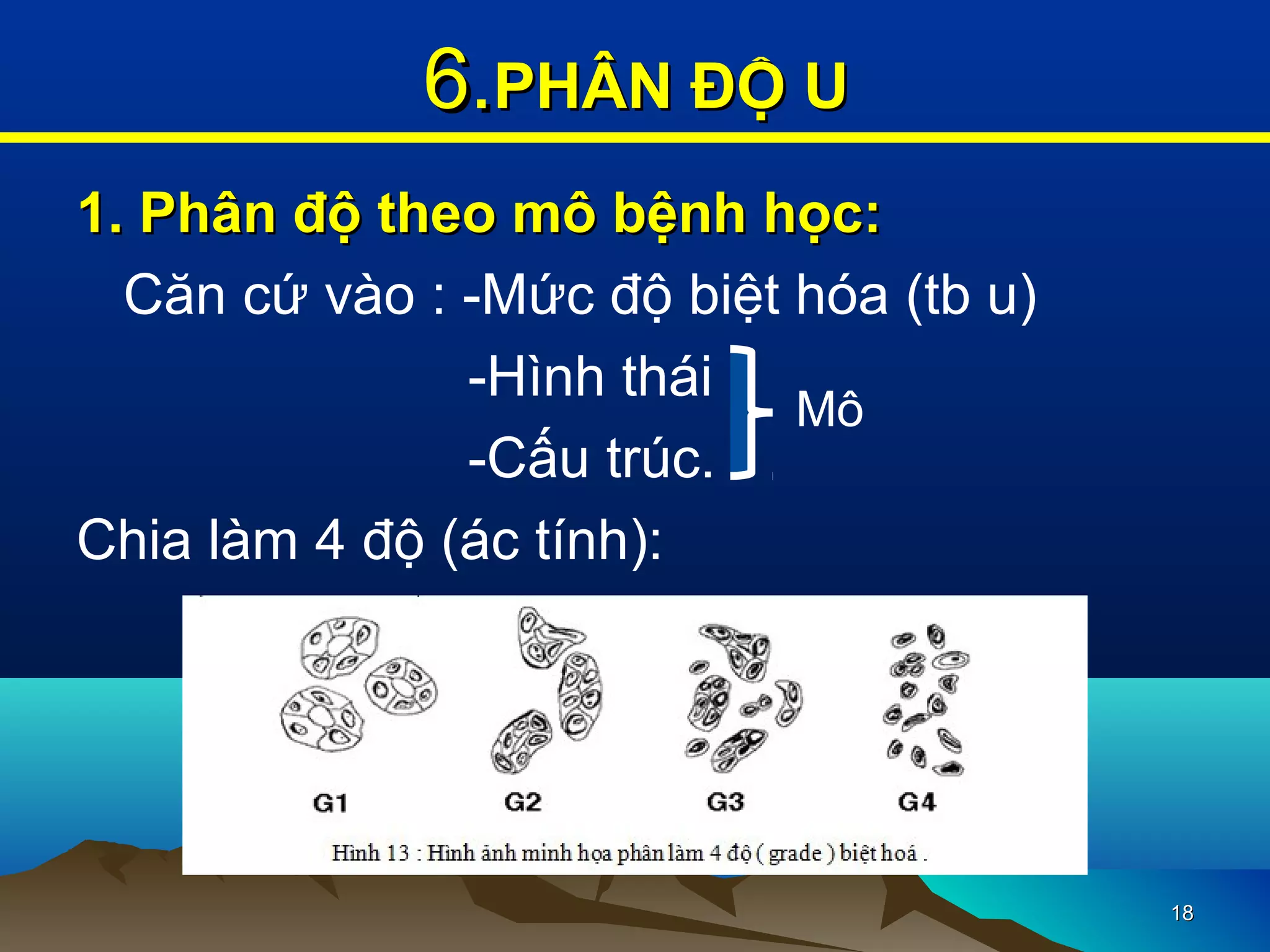 1. Phân độ theo mô bệnh học:1. Phân độ theo mô bệnh học:
Căn cứ vào : -Mức độ biệt hóa (tb u)
-Hình thái
-Cấu trúc.
Chia làm 4 độ (ác tính):
1818
6.6.PHÂN ĐỘ UPHÂN ĐỘ U
Mô
 