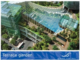 Terrace garden
 