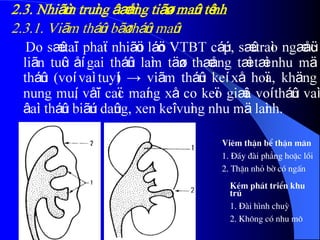 2.3. Nhiãùm truìng âæåìng tiãøu maûn tênh
2.3.1. Viãm tháûn bãø tháûn maûn
Do sæû taïi phaït nhiãöu láön VTBT cáúp, sæû traìo ngæåüc
liãn tuûc åí gai tháûn laìm täøn thæång tæì tæì nhu mä
tháûn (voí vaì tuyí) → viãm tháûn keí xå hoïa, khäng
nung muí, våïi caïc maíng xå co keïo giæîa voí tháûn vaì
âaìi tháûn biãún daûng, xen keî vuìng nhu mä laình.
Viªm thËn bÓ thËn m·n
1. §¸y ®µi ph¼ng hoÆc låi
2. ThËn nhá bê cã ngÊn
KÐm ph¸t triÓn khu
tró
1. §µi h×nh chuú
2. Kh«ng cã nhu m«
 