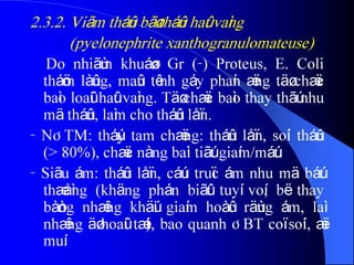 2.3.2. Viãm tháûn bãø tháûn haût vaìng
(pyelonephrite xanthogranulomateuse)
Do nhiãùm khuáøn Gr (-) Proteus, E. Coli
tháöm làûng, maûn tênh gáy phaín æïng täø chæïc
baìo loaûi haût vaìng. Täø chæïc baìo thay thãú nhu
mä tháûn, laìm cho tháûn låïn.
- NÂTM: tháúy tam chæïng: tháûn låïn, soíi tháûn
(> 80%), chæïc nàng baìi tiãút giaím/máút.
- Siãu ám: tháûn låïn, cáúu truïc ám nhu mä báút
thæåìng (khäng phán biãût tuyí voí, bë thay
bàòng nhæîng khäúi giaím hoàûc räùng ám, laì
nhæîng äø hoaûi tæí), bao quanh ÂBT coï soíi, æï
muí.
 