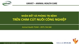 Hotline tư vấn: 0975.744..568
DỊCH VỤ SỨC KHOẺ ĐỘNG VẬT – UNIVET
Animal Health TEAM – 0975.744.568
NHẬN BIẾT VÀ PHÒNG TRỊ BỆNH
TRÊN CHIM CÚT NUÔI CÔNG NGHIỆP
UNIVET – ANIMAL HEALTH CARE
 