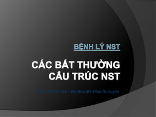 BS. Vũ Phi Yên - Bộ Môn Mô Phôi Di truyền
 