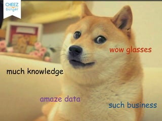 much knowledge
amaze data
wow glasses
such business
 