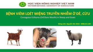 Giảng viên:	Nguyễn Văn Minh	- 0908.515.383
 