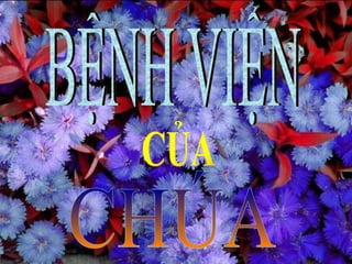 BỆNH VIỆN CỦA Ú 