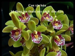 Con xin hứa Sẽ dùng toa thuốc này cách  đều đặn. 