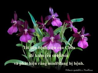 Tôi đến bệnh viện của Chúa để kiểm tra sức khỏe và phát hiện rằng mình đang bị bệnh. 