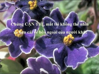 Chứng CẬN THỊ, mắt tôi không thể nhìn  xa hơn cái vẻ bên ngoài của người khác 