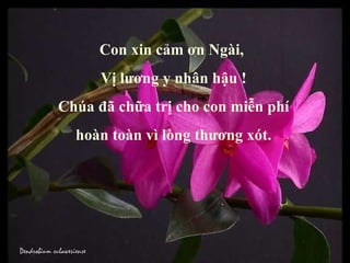 Con xin cảm ơn Ngài,  Vị lương y nhân hậu ! Chúa đã chữa trị cho con miễn phí hoàn toàn vì lòng thương xót. 