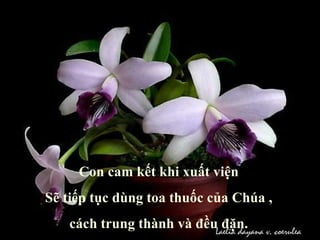 Con cam kết khi xuất viện Sẽ tiếp tục dùng toa thuốc của Chúa , cách trung thành và đều đặn. 