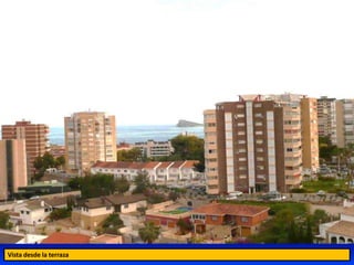 Vista desde la terraza
 