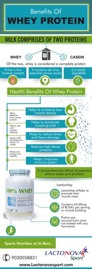 Benefits Of
WHEY PROTEIN
MILK COMPRISES OF TWO PROTEINS
Of the two, whey is considered a complete protein
It has a low
lactose content
It contains all nine
essential amino acids
It is easily
digestible
Health Benefits Of Whey Protein
Helps to enchance lean
muscle density
Helps to accelerate
muscle growth
Helps to reduce stress
and tissue damage
Reduces high blood
pressure
Helps t Improves
immune system
More
effective
than casein
protein
Works well
with
regular
exercise
Lowers LDL
cholesterol in
about 12
weeks
Keeps you
strong and
healthy
A comprehensive blend of essential
amino acids and proteins
A comprehensive blend of essential
amino acids and proteins
Lactowhey
Lactowhey aHelps to
promote lean
muscle mass
Contains 42,00mg
of BCAA’s per serving
or muscle building
Protins are
sourced from cows
not treated with any
hormones.
Sports Nutrition at its Best...
9030058831
www.Lactonovasport.com
WHEYWHEY CASEIN
 