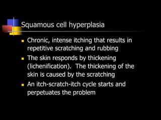 Squamous cell hyperplasia
n  Chronic, intense itching that results in
repetitive scratching and rubbing
n  The skin responds by thickening
(lichenification). The thickening of the
skin is caused by the scratching
n  An itch-scratch-itch cycle starts and
perpetuates the problem
 