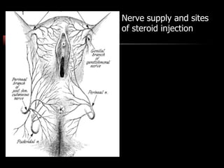 Nerve supply and sites
of steroid injection
 