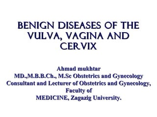 Benign diseases of theBenign diseases of the
vulva, vagina andvulva, vagina and
cervixcervix
Ahmad mukhtarAhmad mukhtar
MD.,M.B.B.Ch., M.Sc Obstetrics and GynecologyMD.,M.B.B.Ch., M.Sc Obstetrics and Gynecology
Consultant and Lecturer of Obstetrics and Gynecology,Consultant and Lecturer of Obstetrics and Gynecology,
Faculty ofFaculty of
MEDICINE, Zagazig University.MEDICINE, Zagazig University.
 